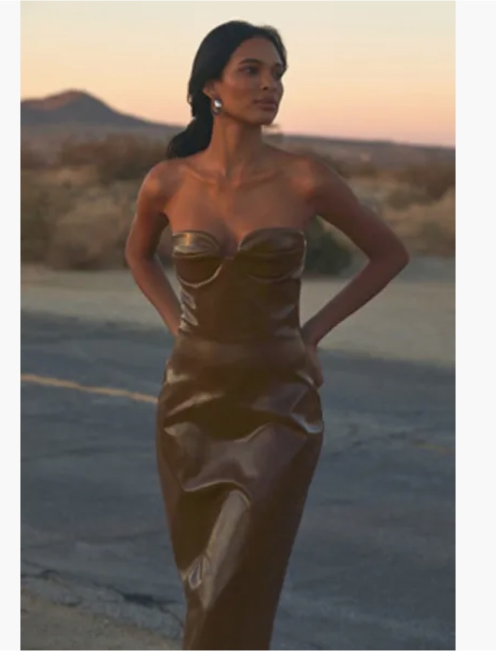 NWT Anthropologie size L Strapless Faux-Leather Brown Midi Dress